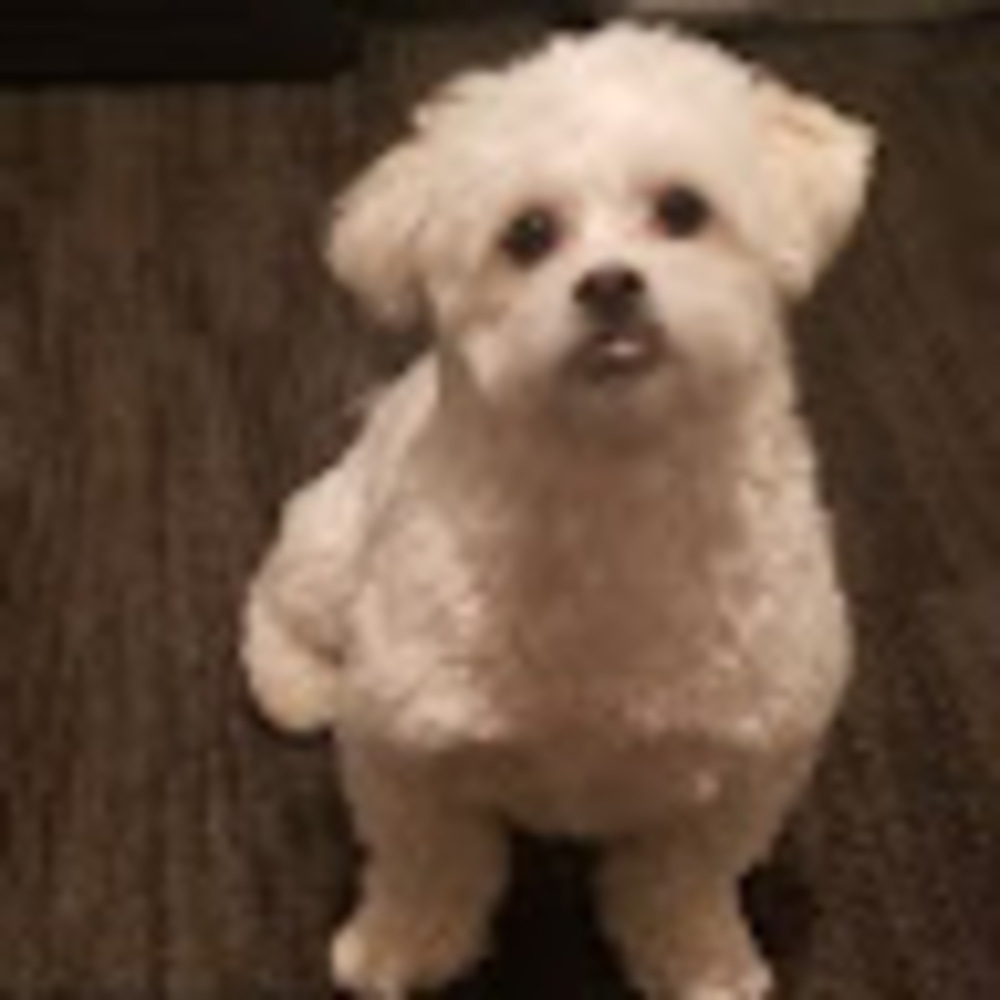 Meet your Posher, Destiny